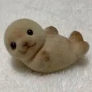 37の画像