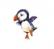 puffinの画像