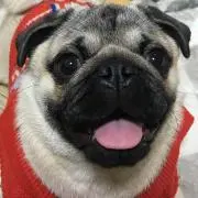 ひろ^_^