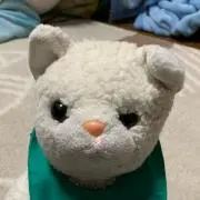 かごますの画像