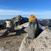 yu-maの画像