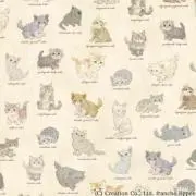 Moiの画像