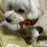 リリー　プロフ必読ですの画像