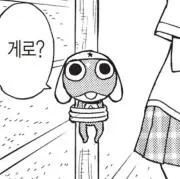 ナナの画像