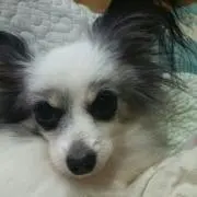 haponess