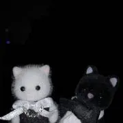 ぽぽんちゃの画像