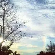 mamei *の画像