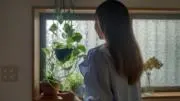 ペジーの画像