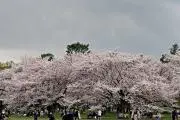 K＆Kの画像