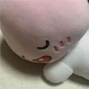 アピーチの画像