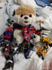 ぴっちゃんの画像