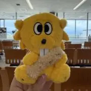 ぱぷもなの画像