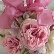 ルルアの画像