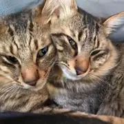 まーさん