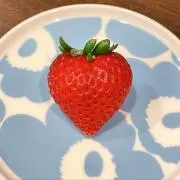 いちごはんの画像