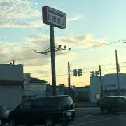 木の画像