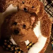 pua♡プロフ必読の画像
