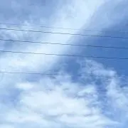mjcの画像