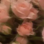 らいちの画像
