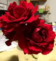 断捨離中　ままりん