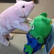 ATSSの画像