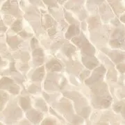 龍奈の画像
