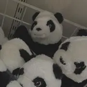とろろの画像