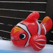 ハチケイの画像