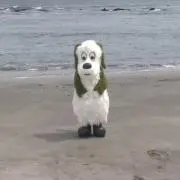 柿沢