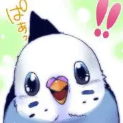 クァール