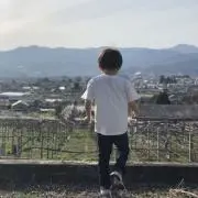 こたこた