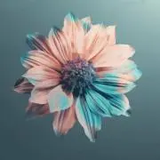 y.の画像