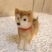 プティト マルタン