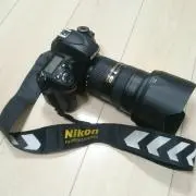 ベルファの画像