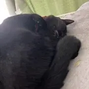 まる