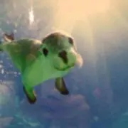 POCHA☆