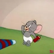 ぽぽの画像