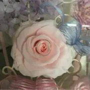 Marの画像