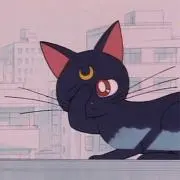 •ᴥ•の画像