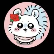 Sa.プロフィール必読の画像