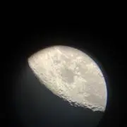 ゆうの画像