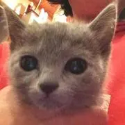 junpeの画像