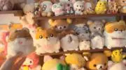 怖がり