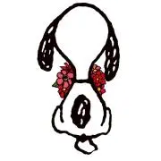 まぴ子の画像