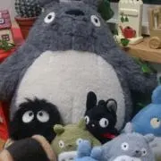 YUJIの画像