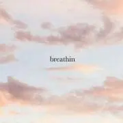 ひな
