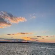 Mの画像