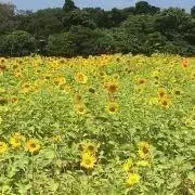 ミキミニ⭐︎プロフィール読んで下さい