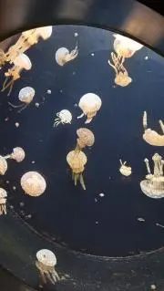 ひろたっくすの画像