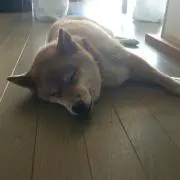 じゅり